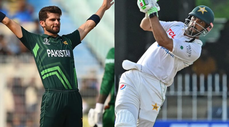 PCB has appointed two captains for red-ball and white-ball cricket